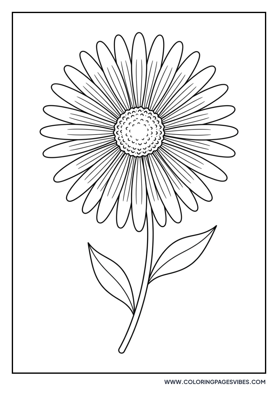 Basic Aster Bloom