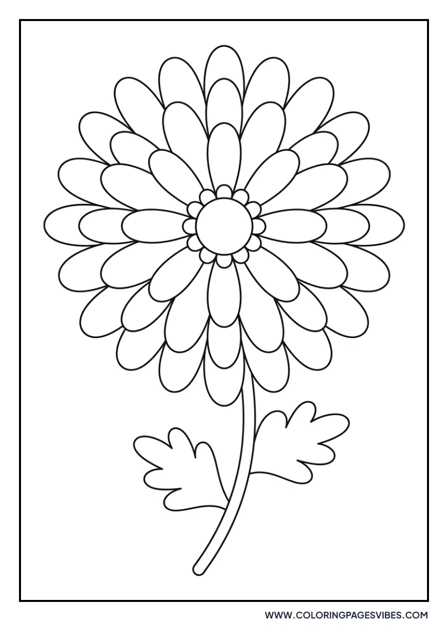 Basic Chrysanthemum