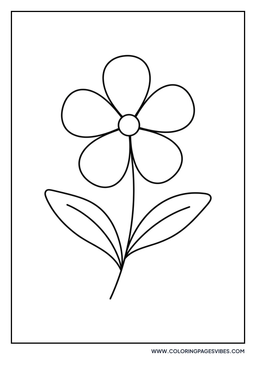 Basic Forget-Me-Not