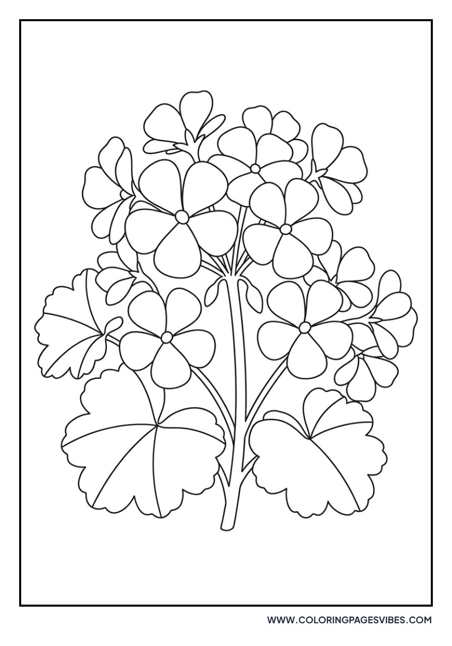 Basic Geranium Bunch