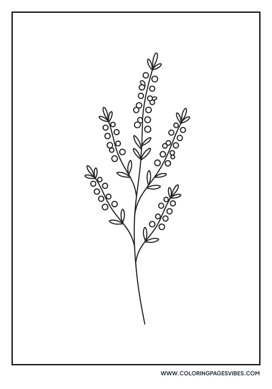 Basic Heather Sprig