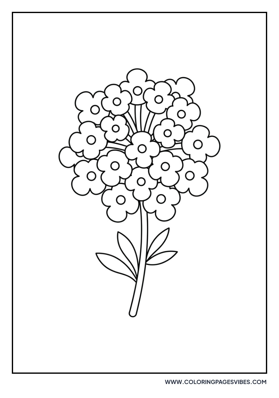 Basic Lantana Cluster