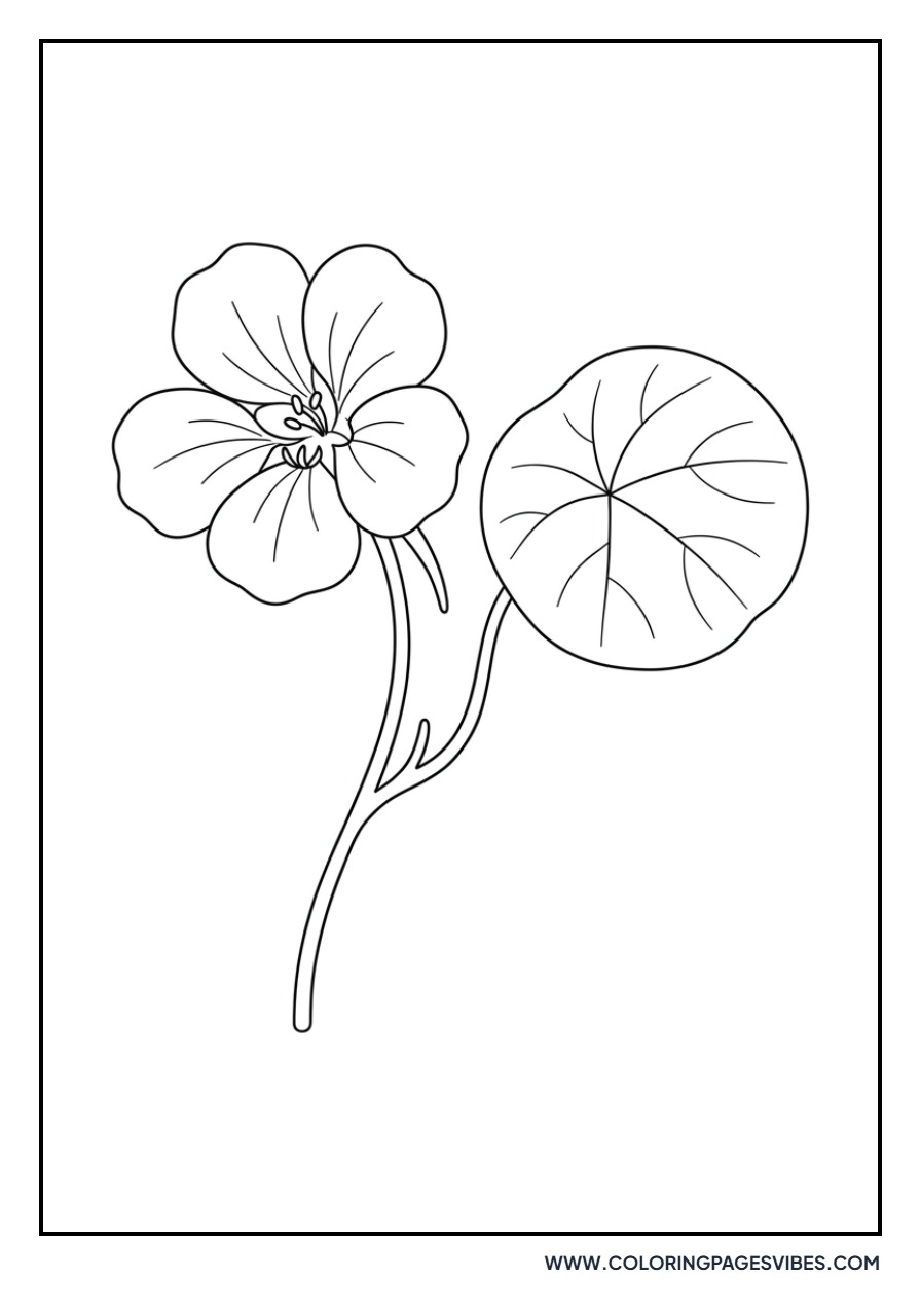 Basic Nasturtium Leaf
