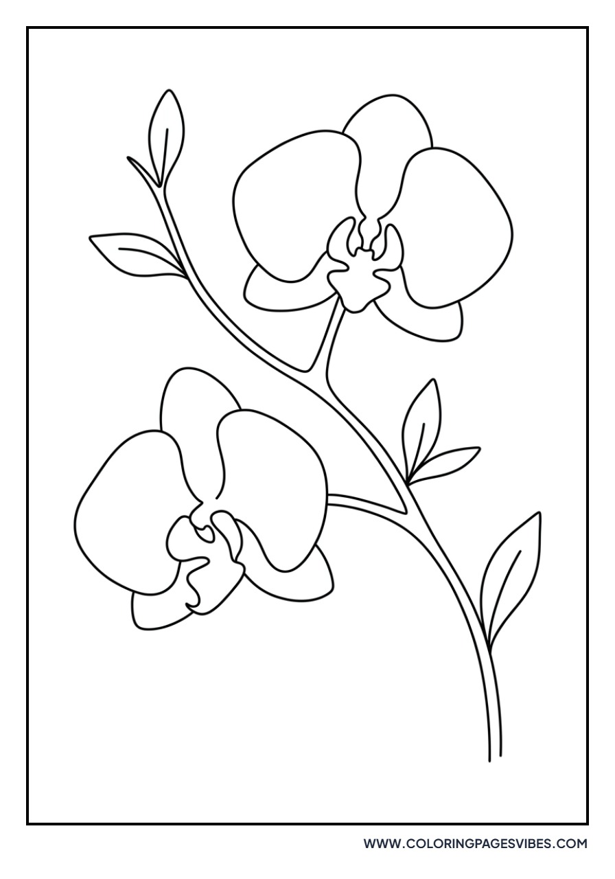 Basic Orchid Branch