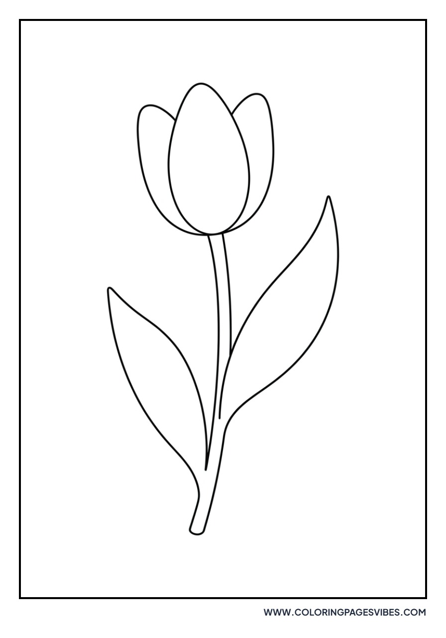 Basic Spring Tulip