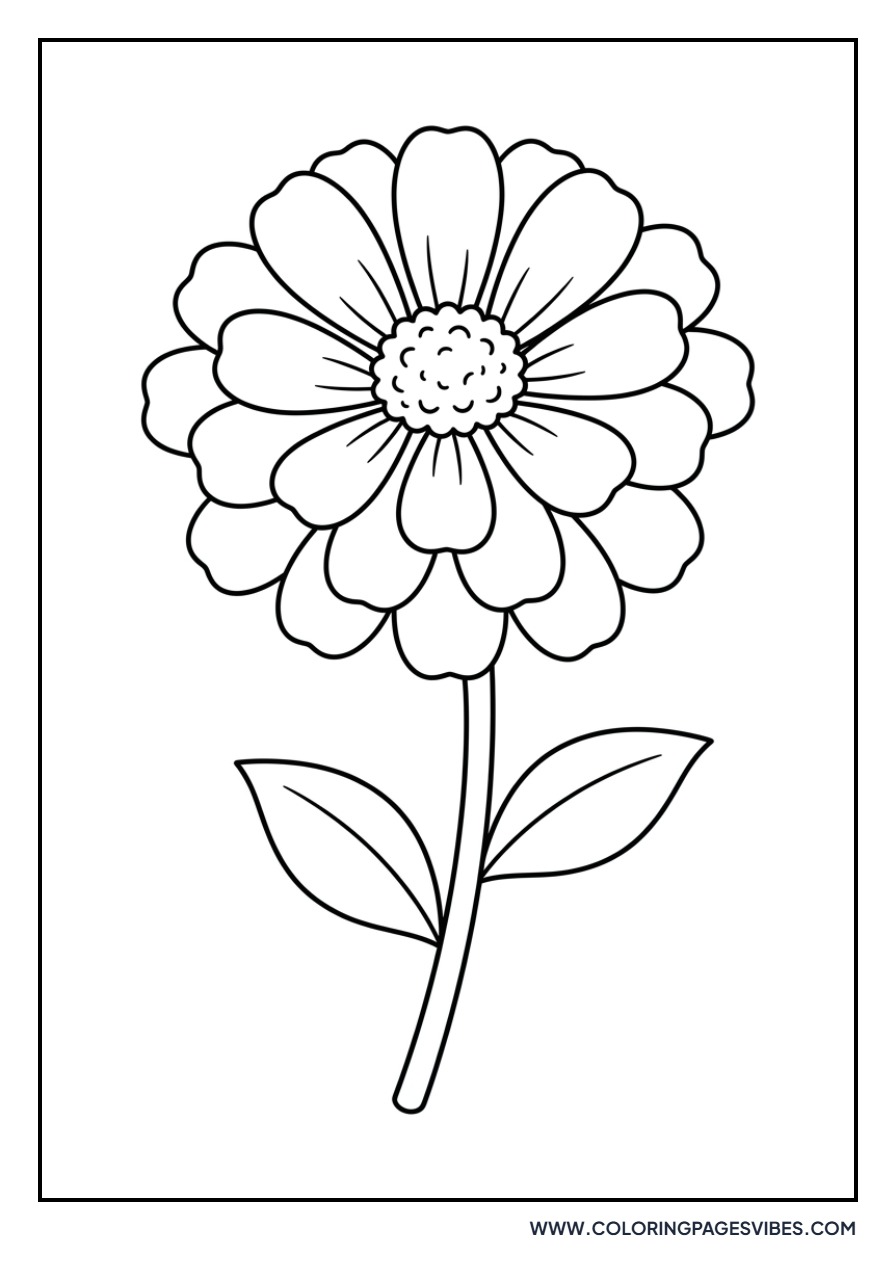 Basic Zinnia Flower