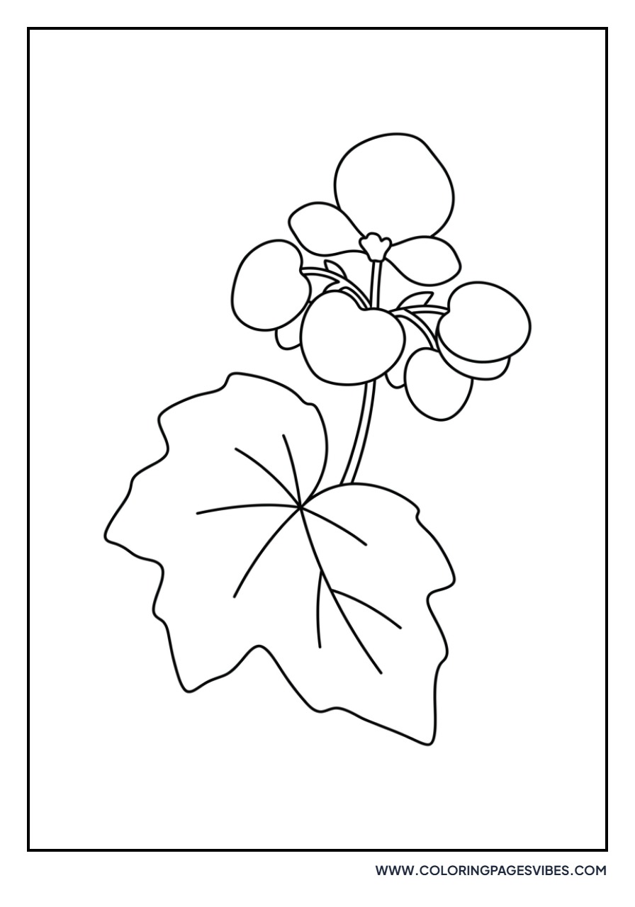 Easy Begonia Leaf