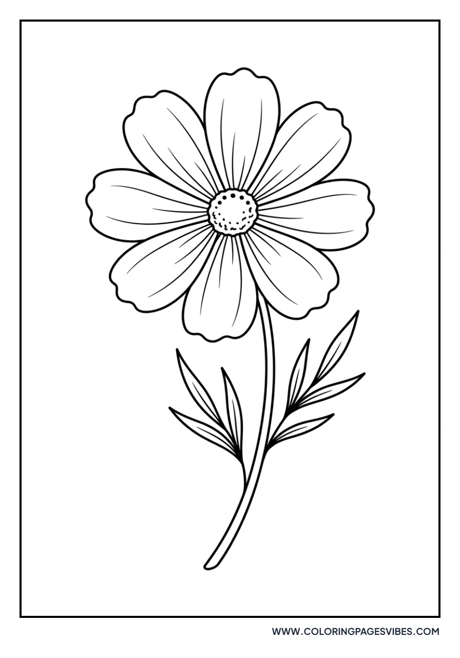 Easy Cosmos Bloom