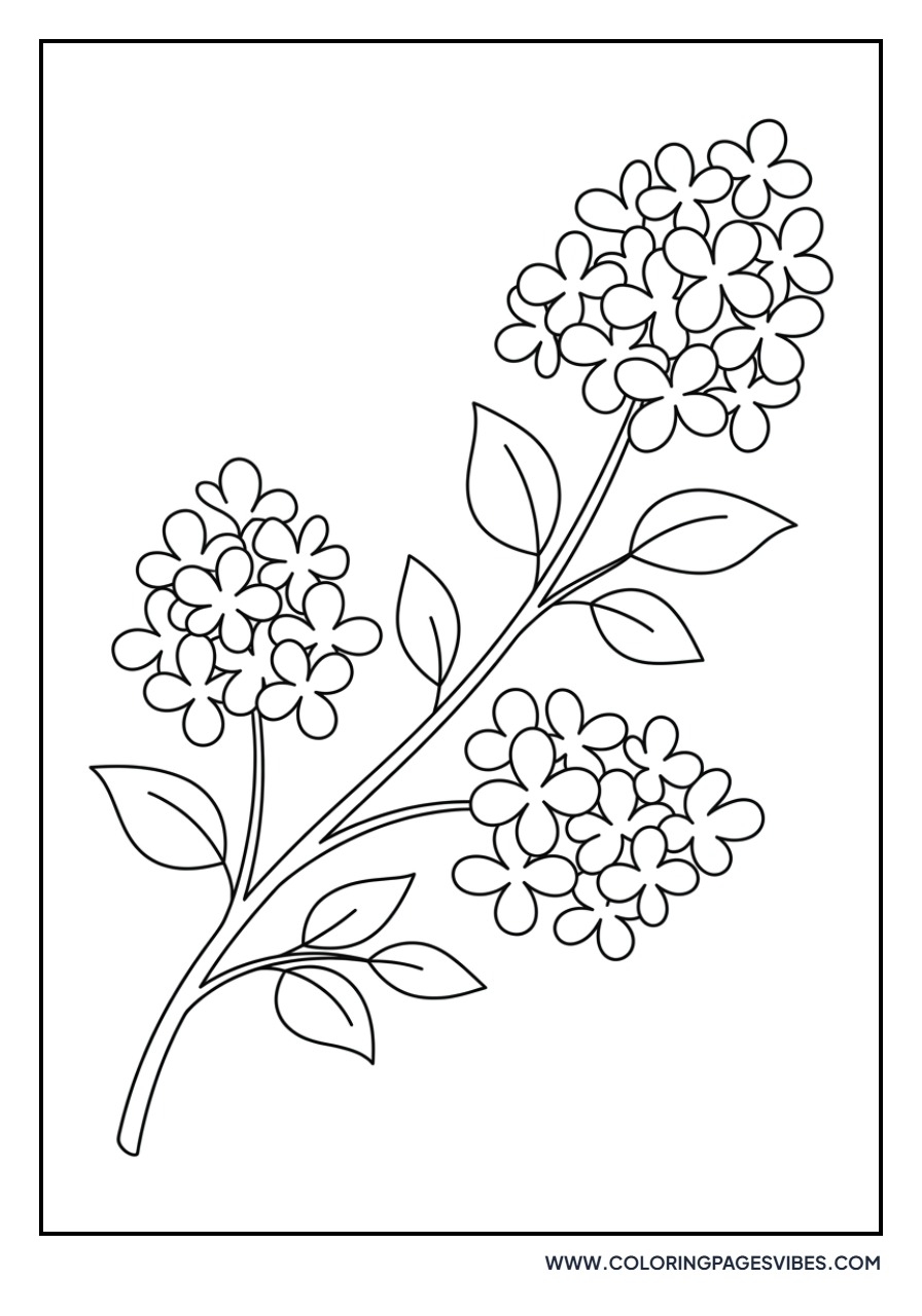 Easy Lilac Branch