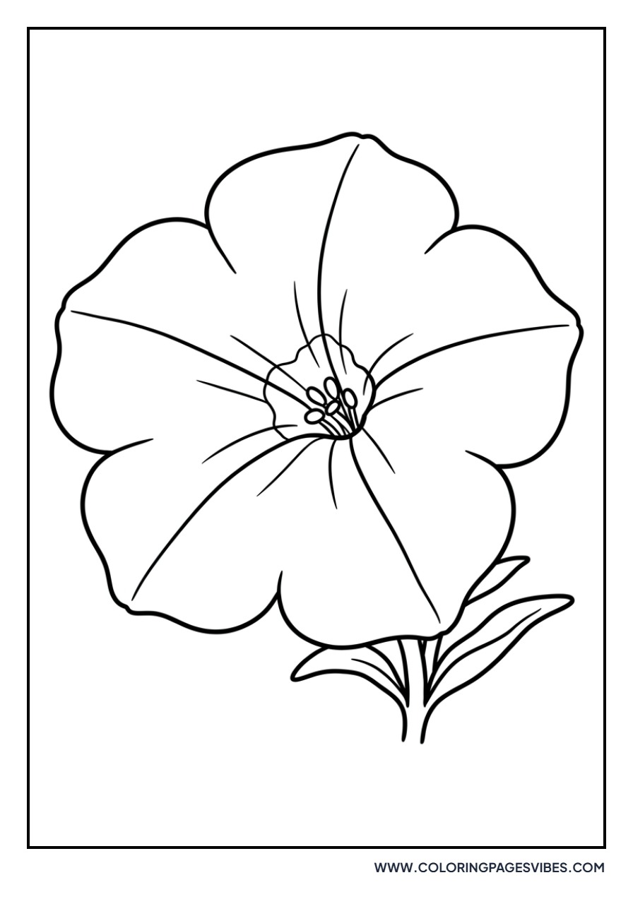 Easy Petunia Bloom