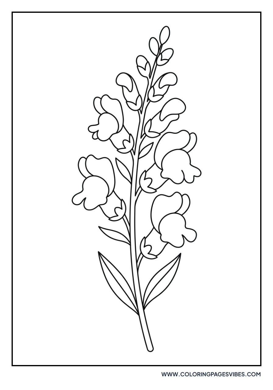 Easy Snapdragons
