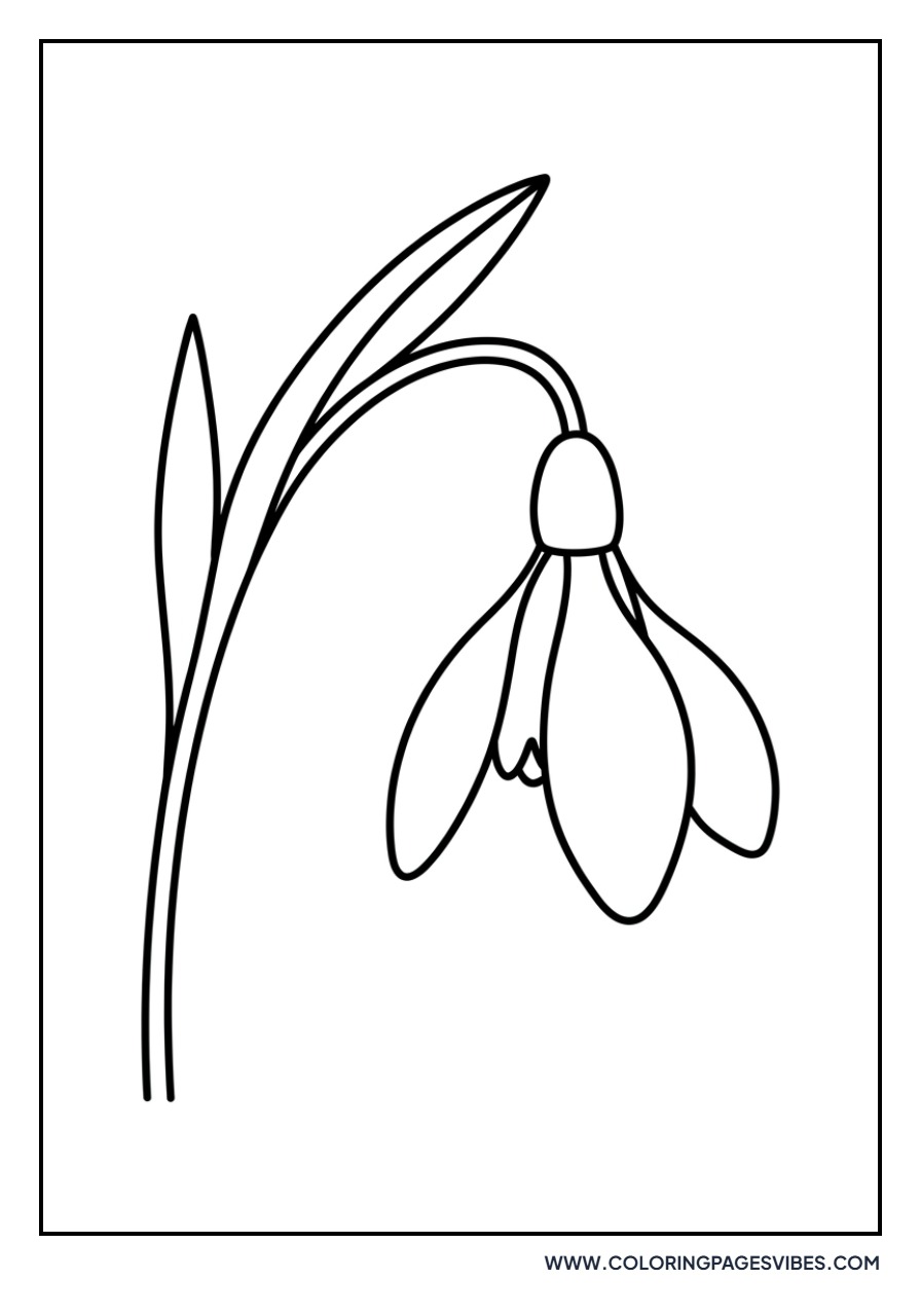 Easy Snowdrop Flower