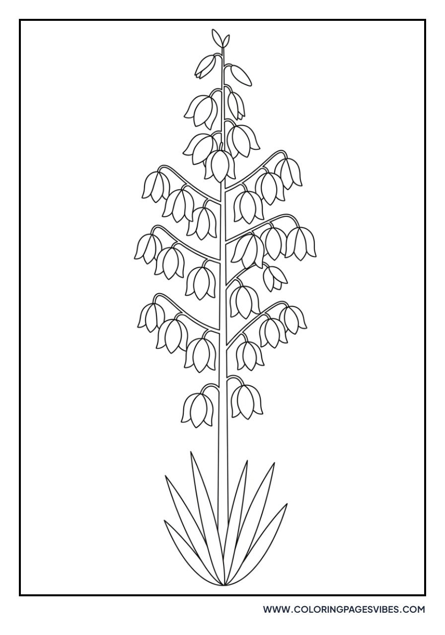 Easy Yucca Flower