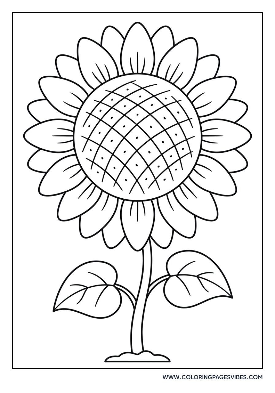 Large Sun Flower