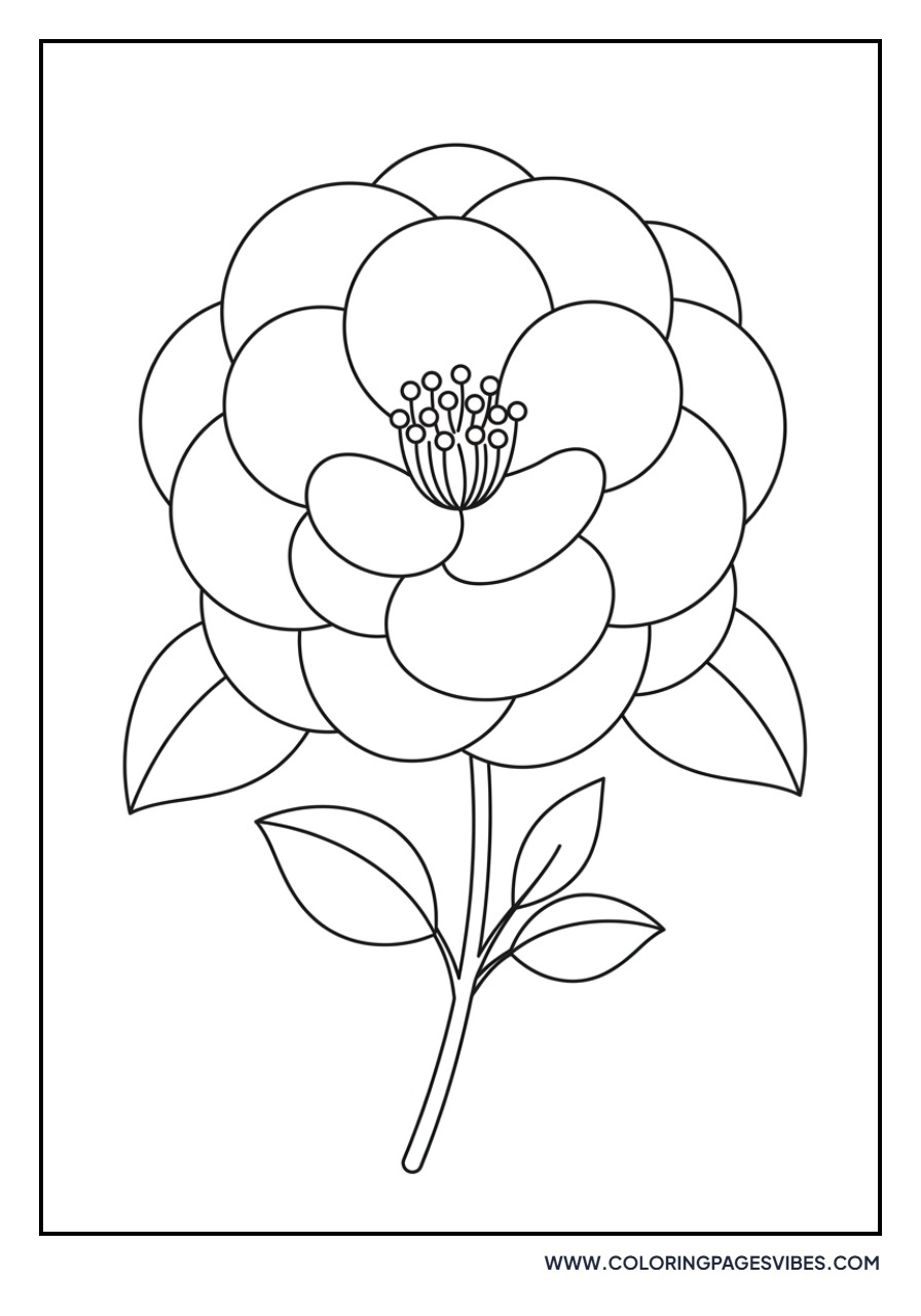 Simple Camellia Flower