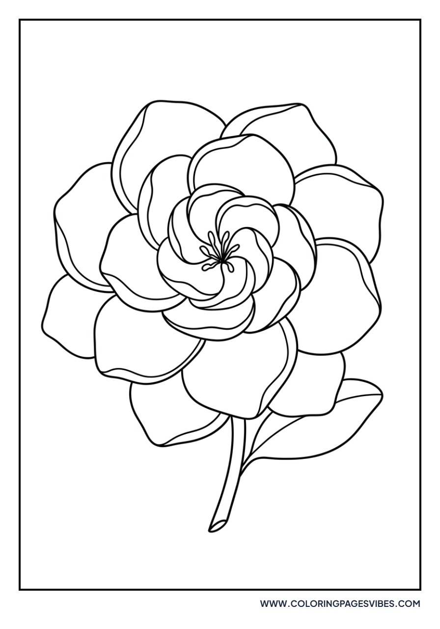 Simple Gardenia Bloom