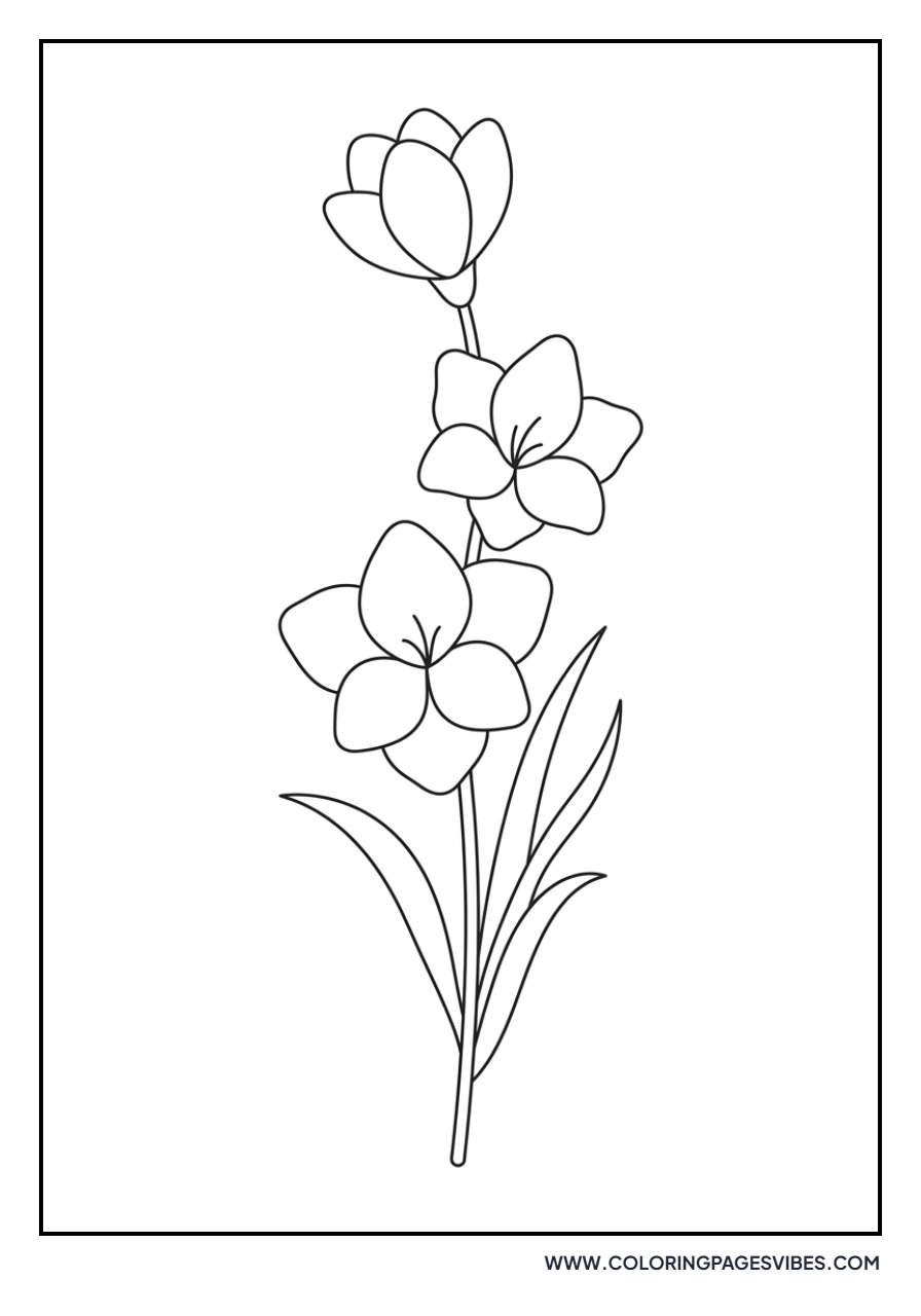 Simple Gladiolus Stem