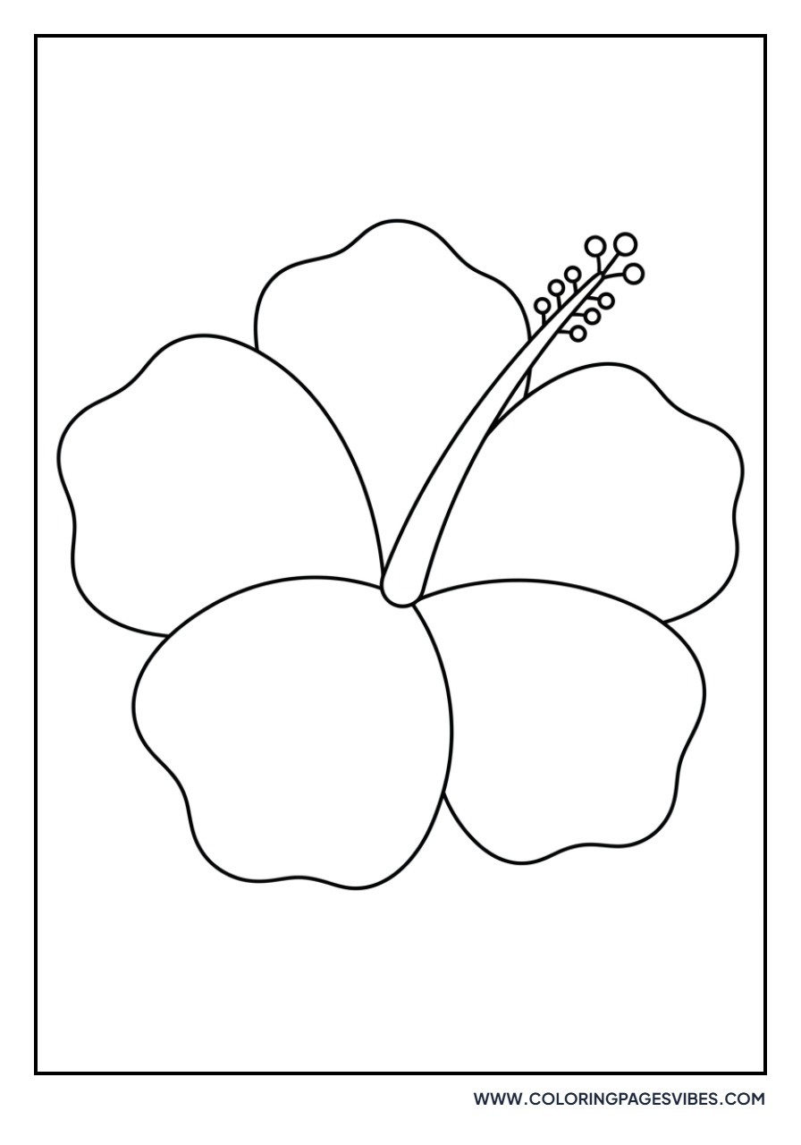 Simple Hibiscus Bloom
