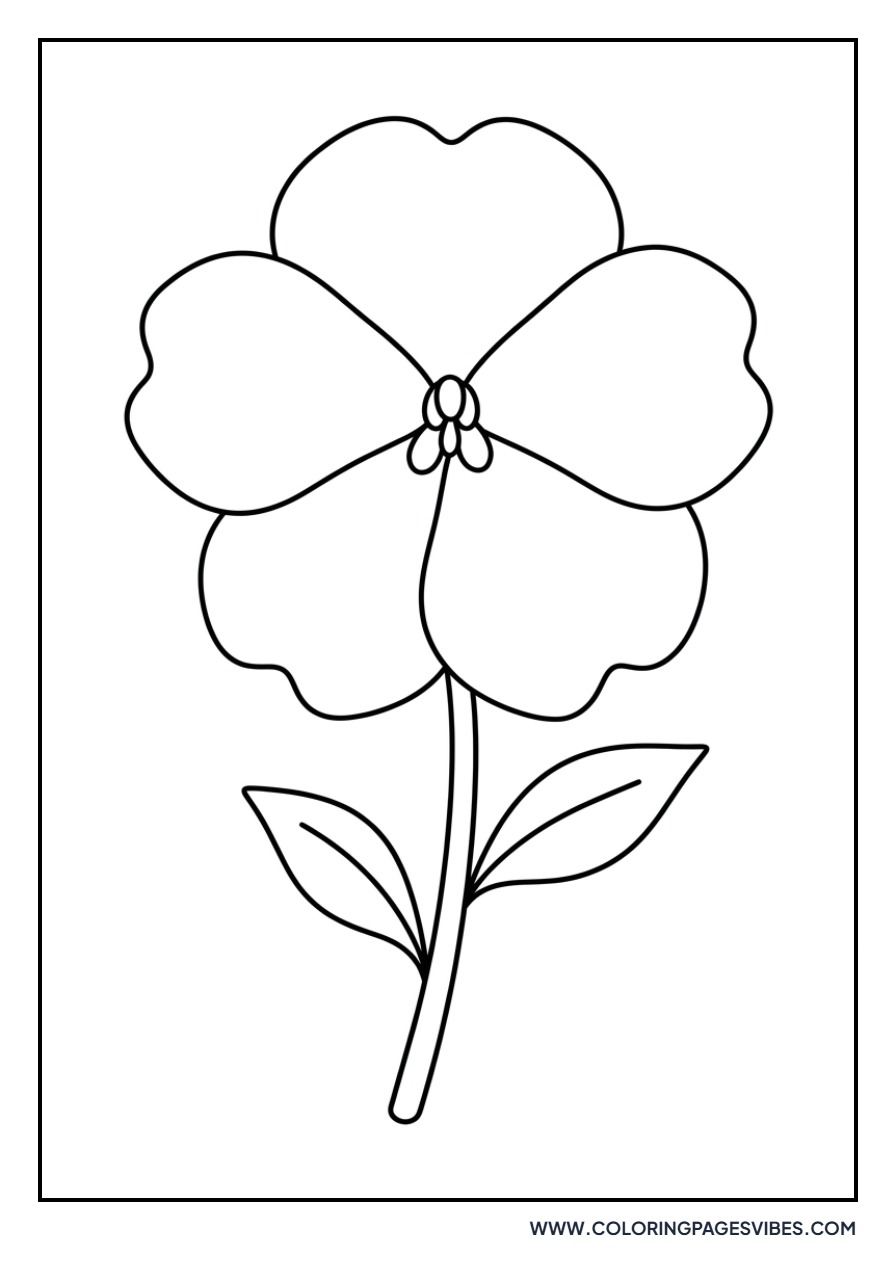 Simple Impatiens Flower