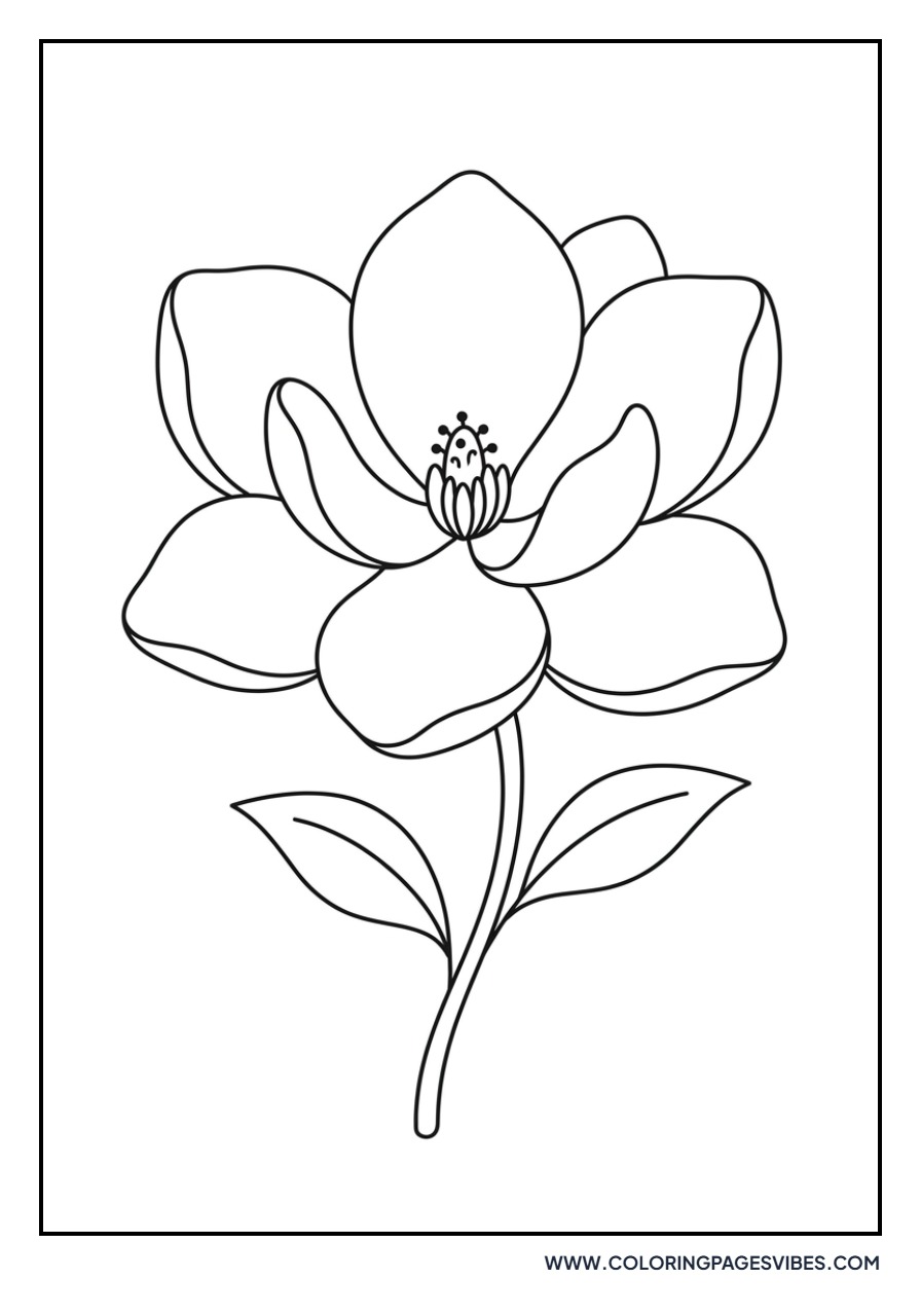 Simple Magnolia Petals
