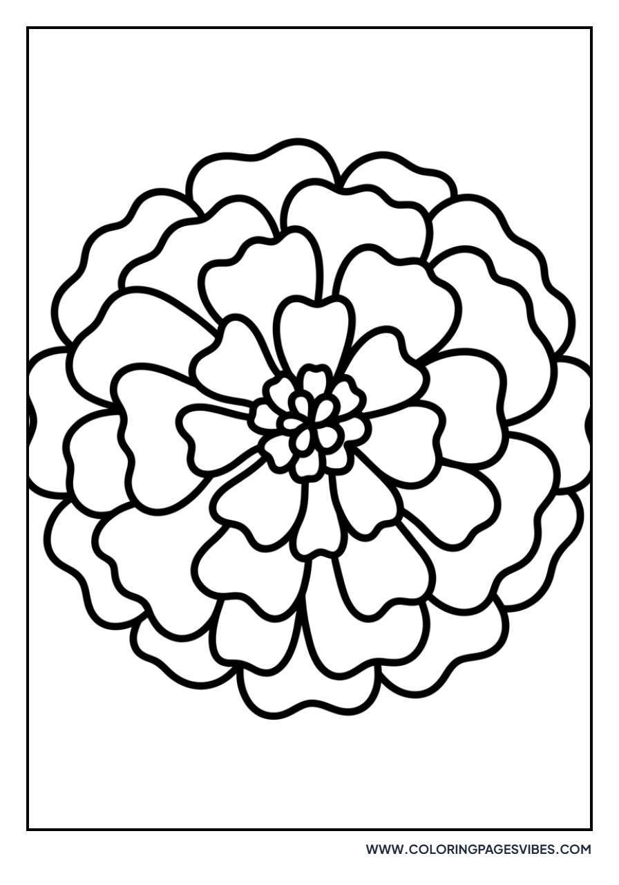 Simple Marigold Head