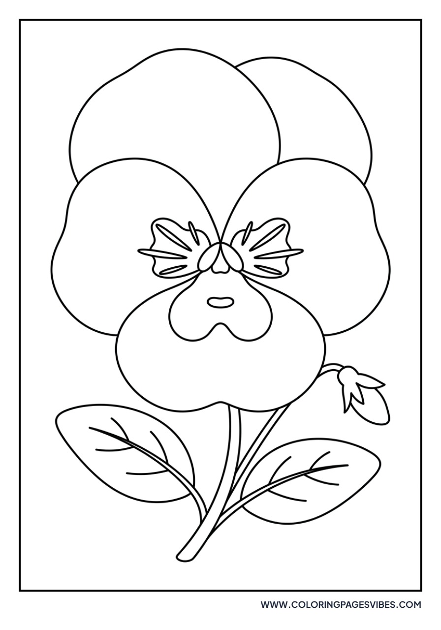 Simple Pansy Face