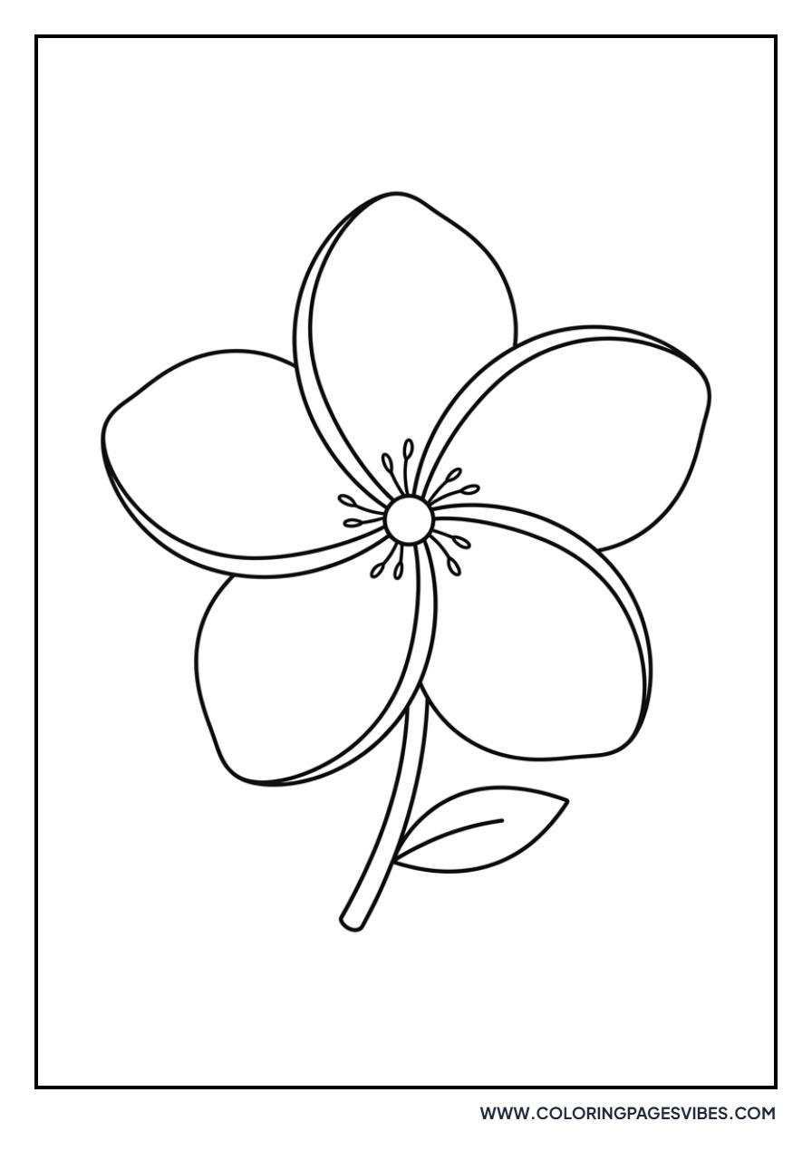Simple Plumeria Flower