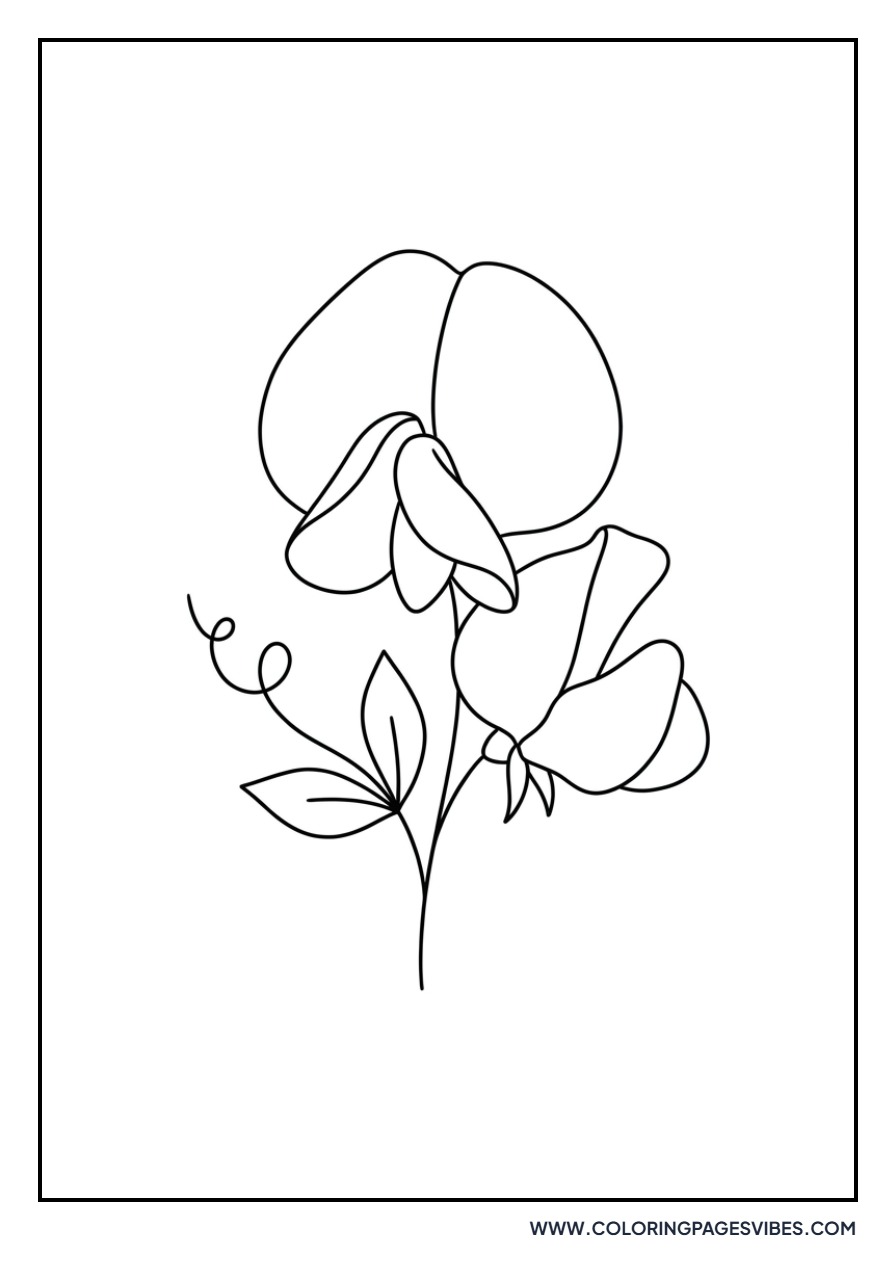 Simple Sweet Pea