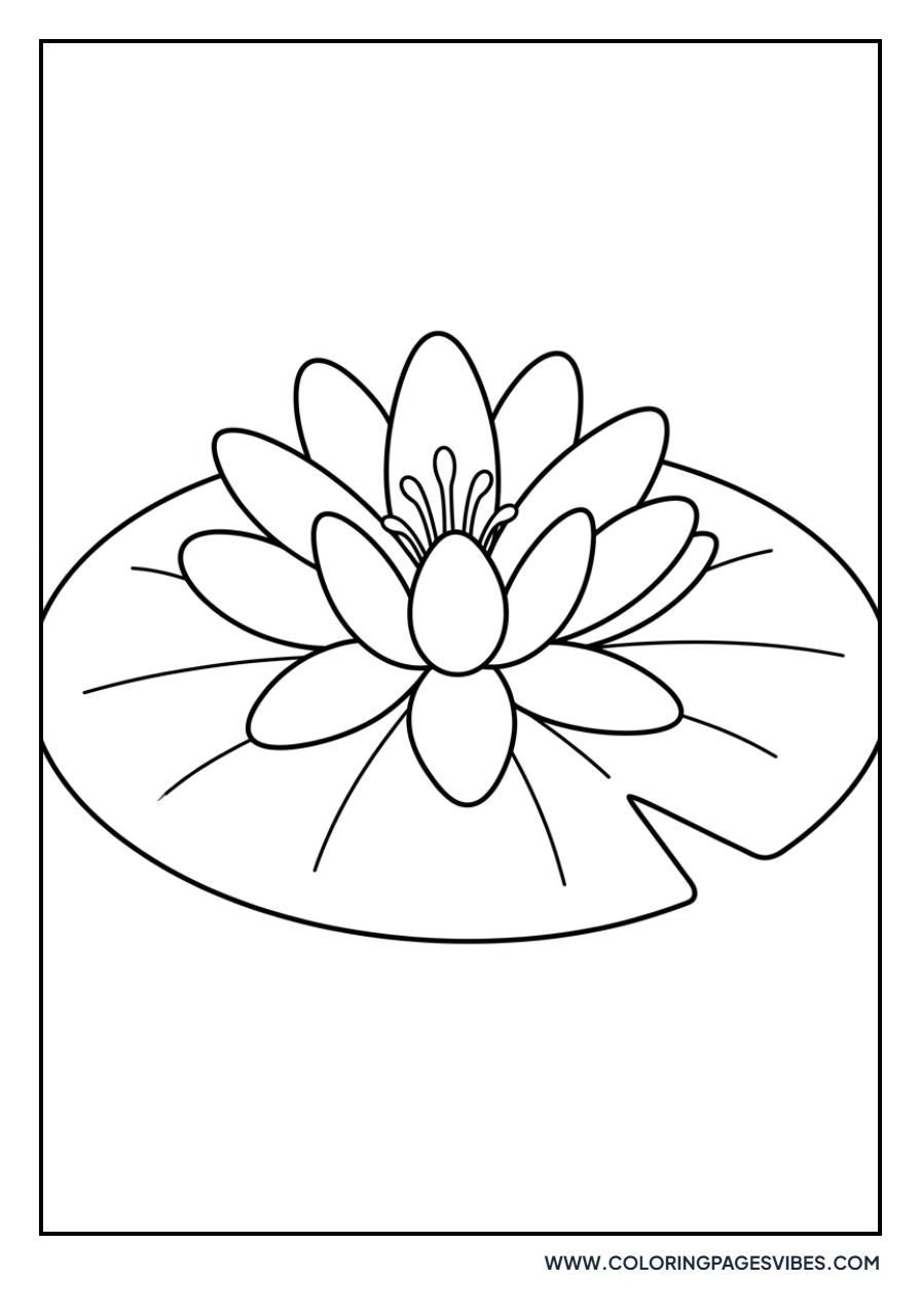 Simple Water Lily Pad