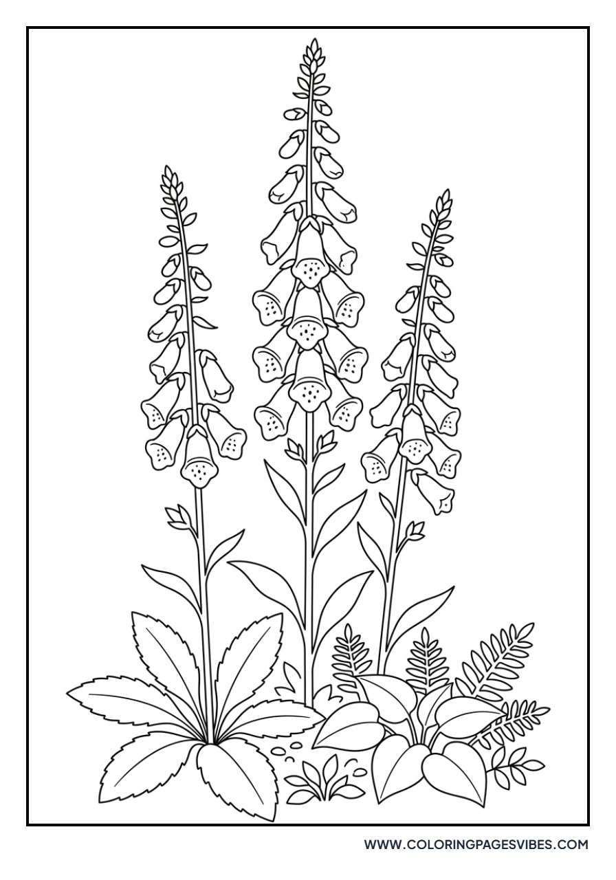 Foxglove Spikes