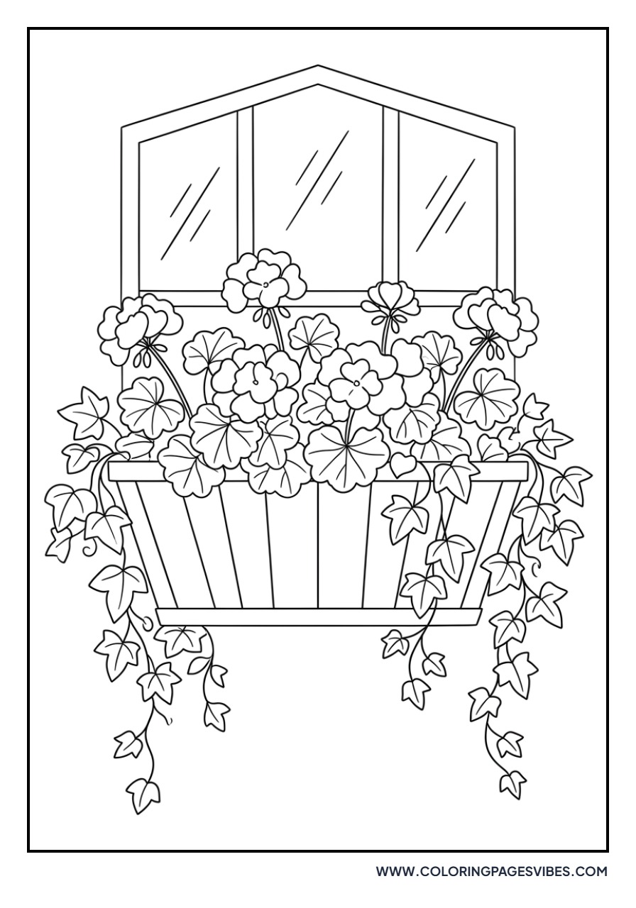 Geranium Window Box
