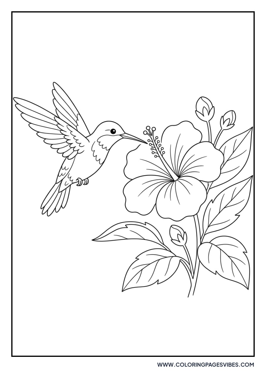 Hummingbird and Hibiscus