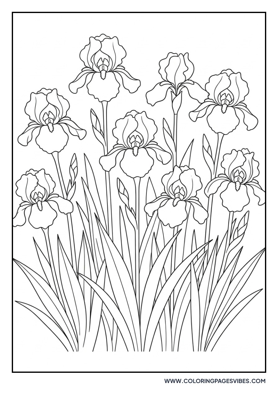 Iris Garden Bed