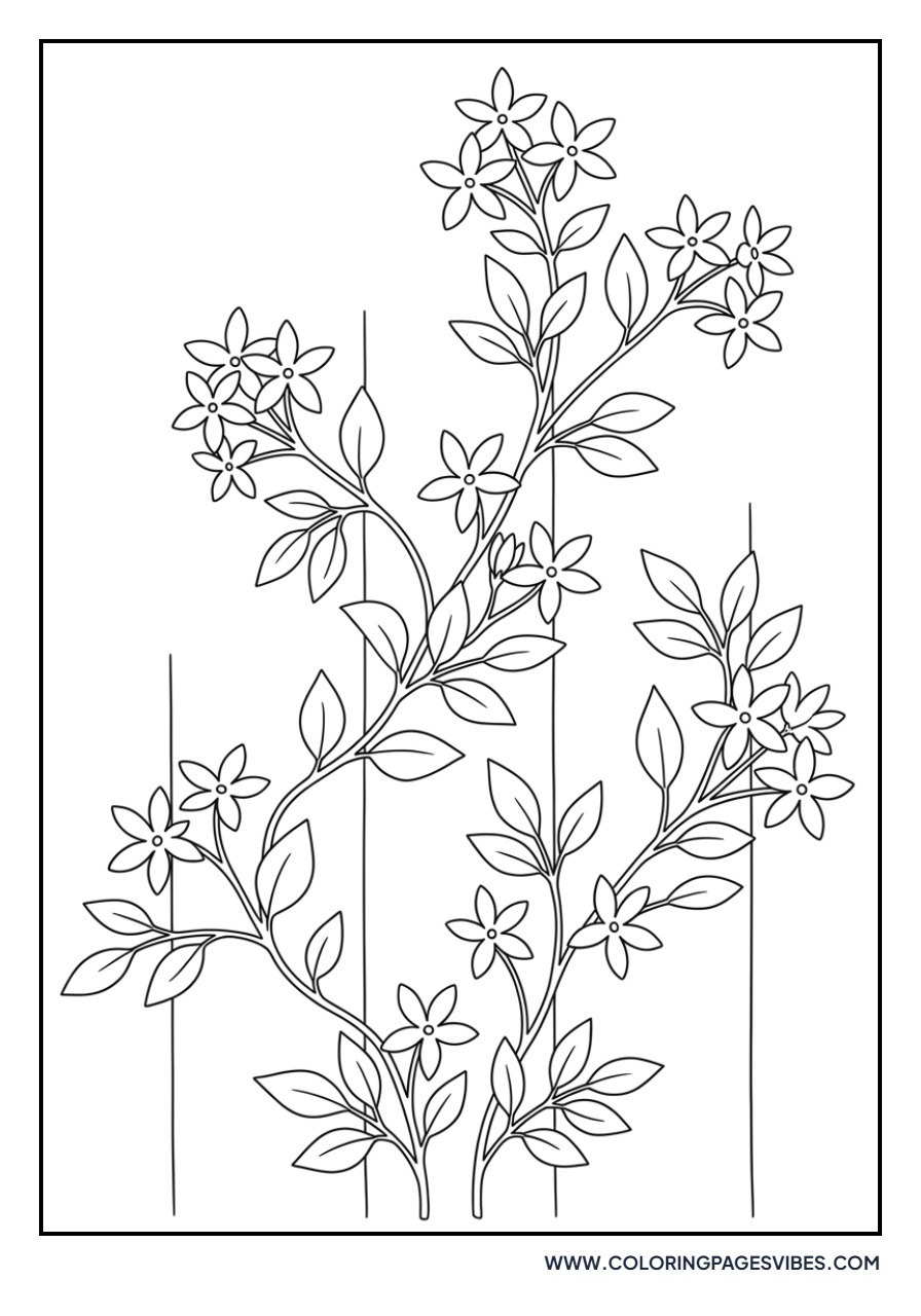 Jasmine Vine Garden