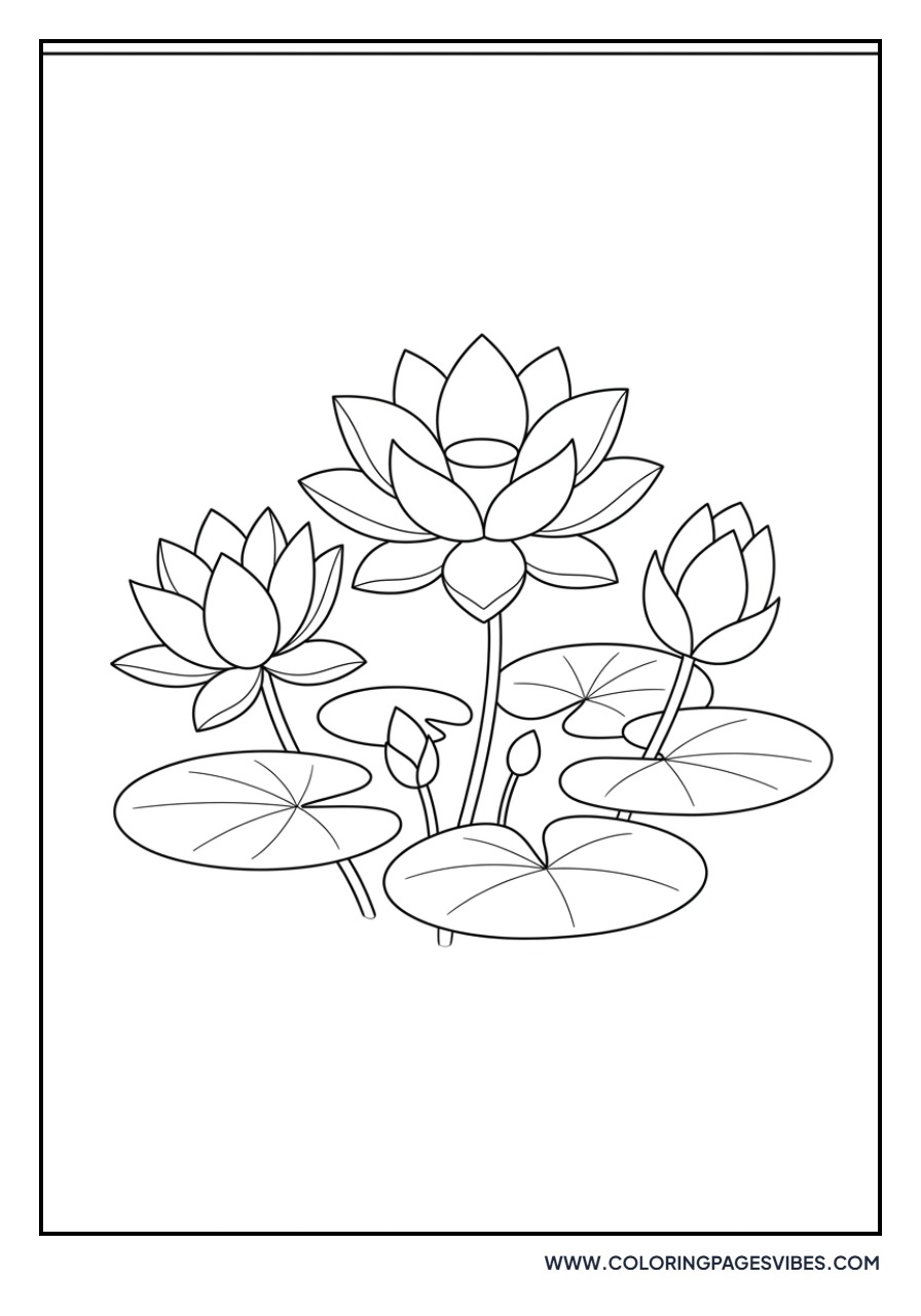 Lotus Garden