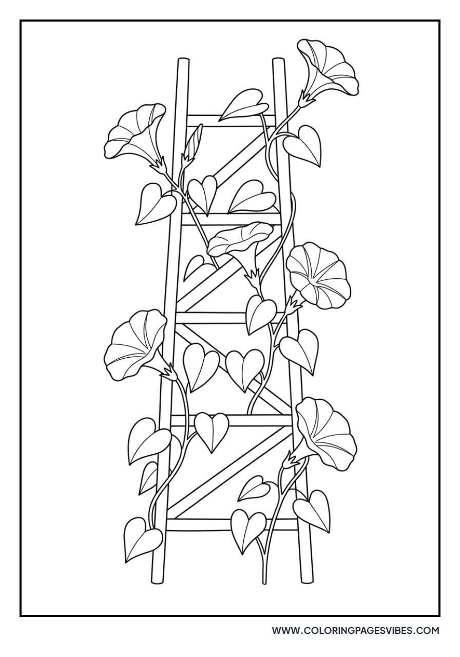 Morning Glory Trellis