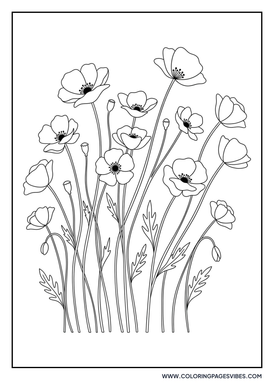 Poppy Field Garden