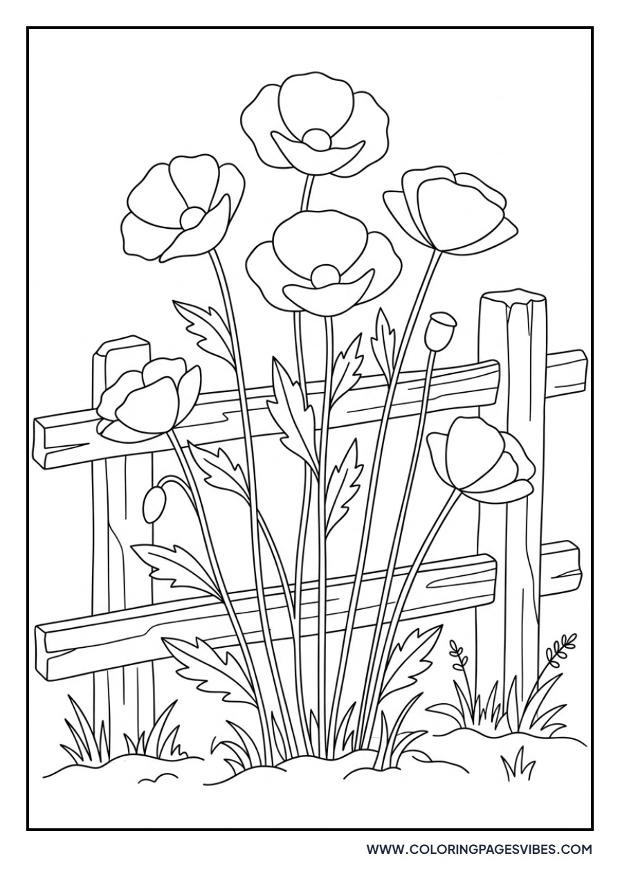 Poppy Garden with Fence
