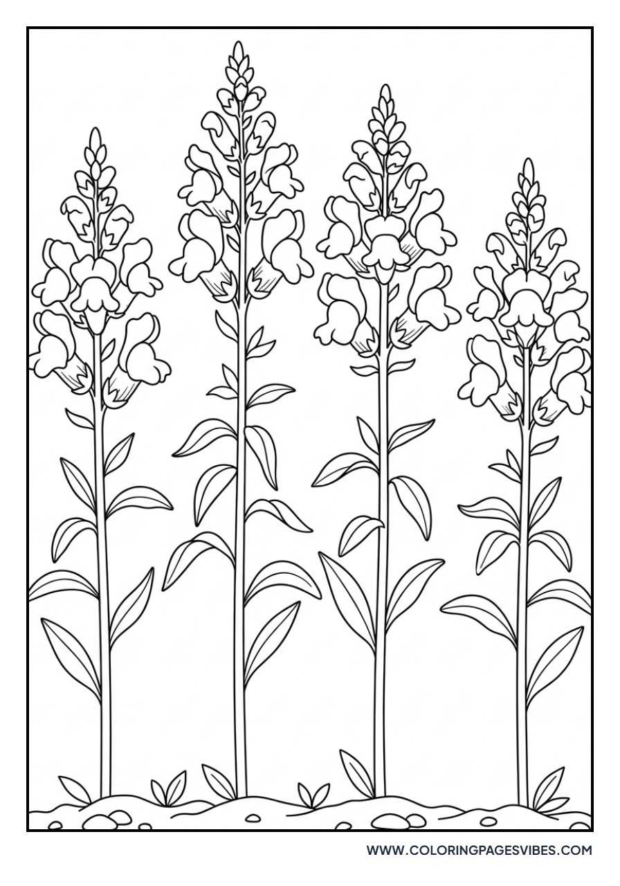 Snapdragon Garden Row