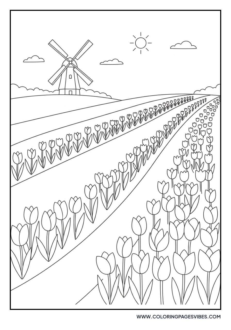 Tulip Field