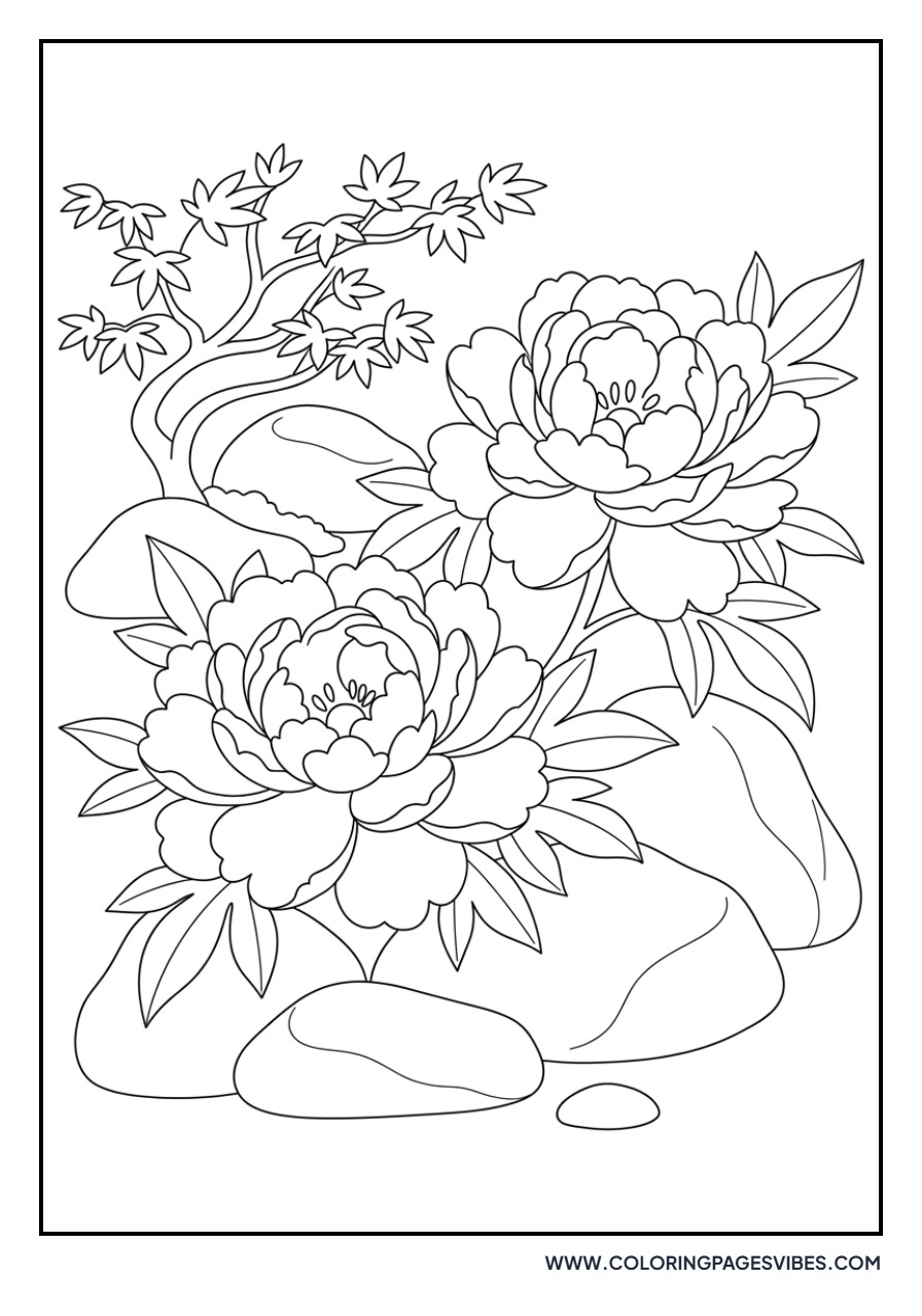 Zen Garden Peonies