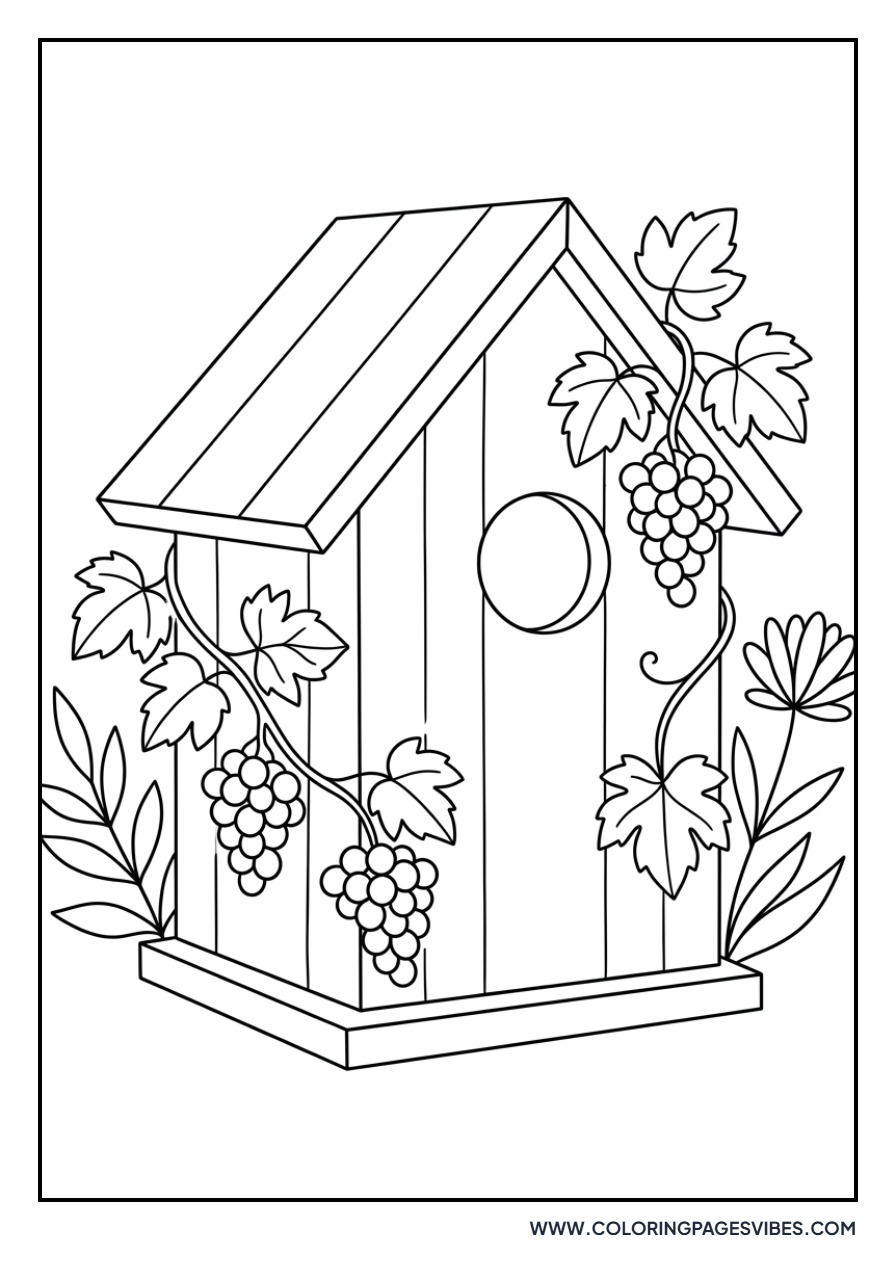 Birdhouse and Grapes