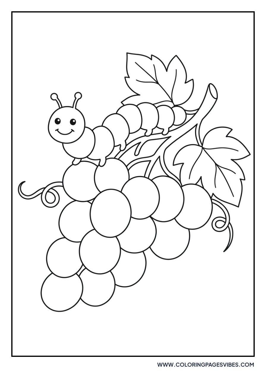 Caterpillar on Grapes