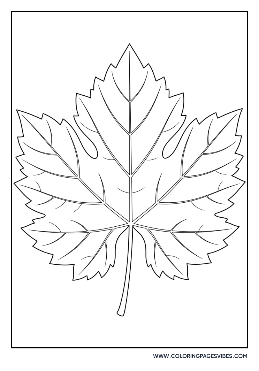 Grape Leaf Detail
