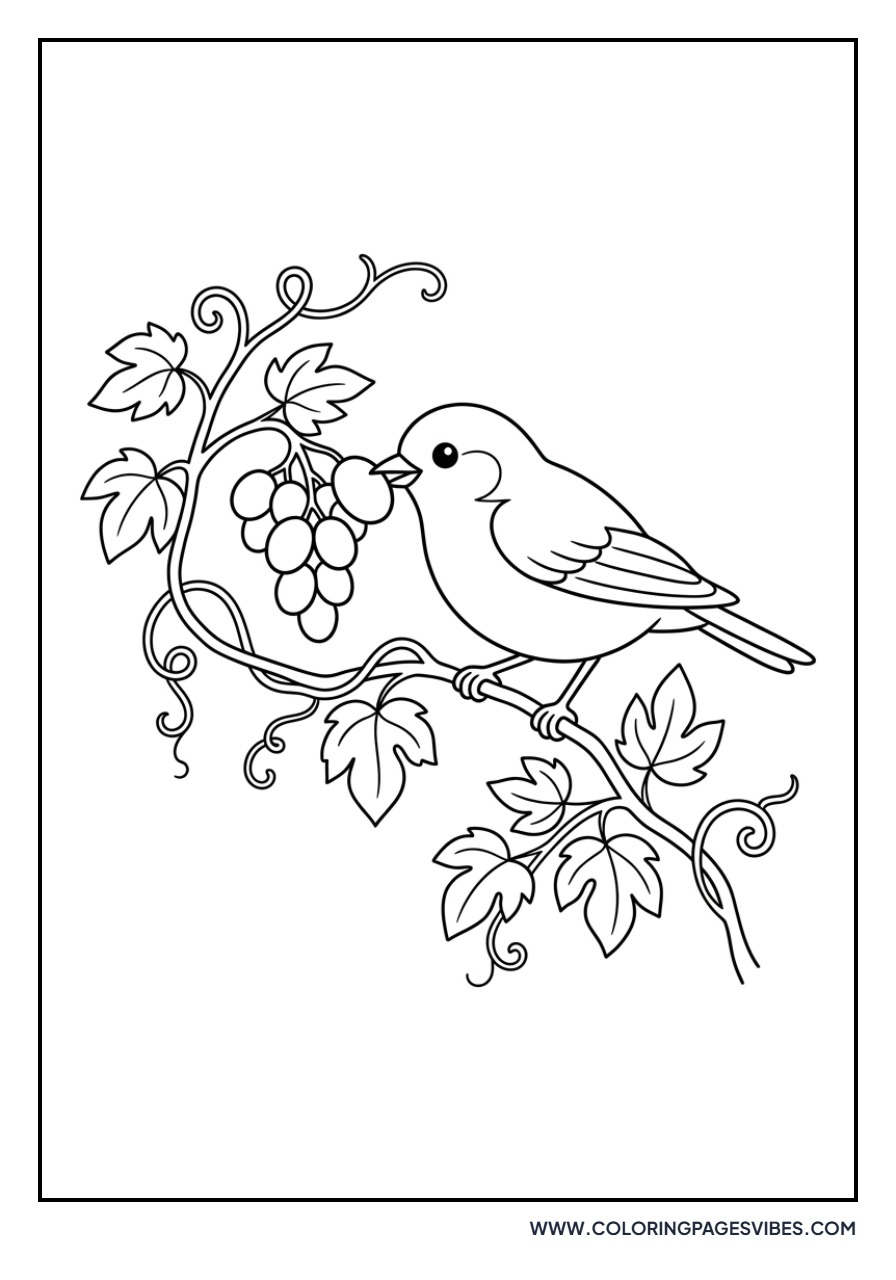 Grapes and Bird