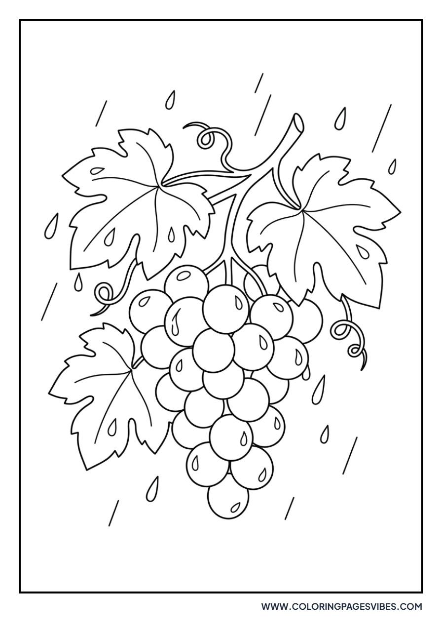 Grapes in the Rain