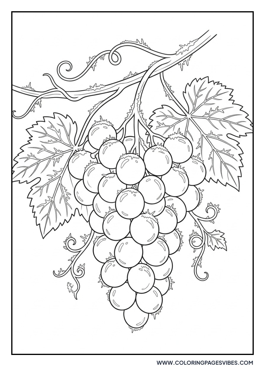 Grapes in Winter