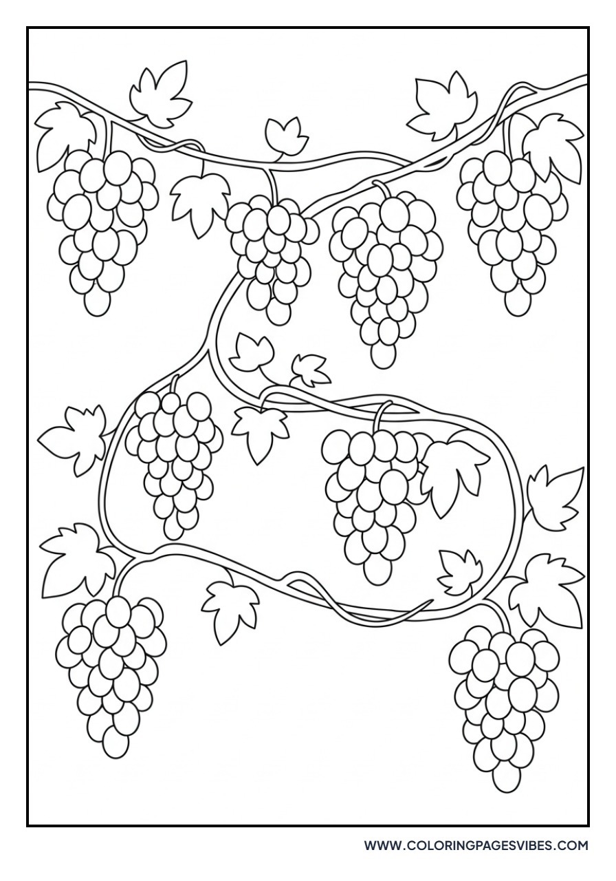 Long Grapevine Branch