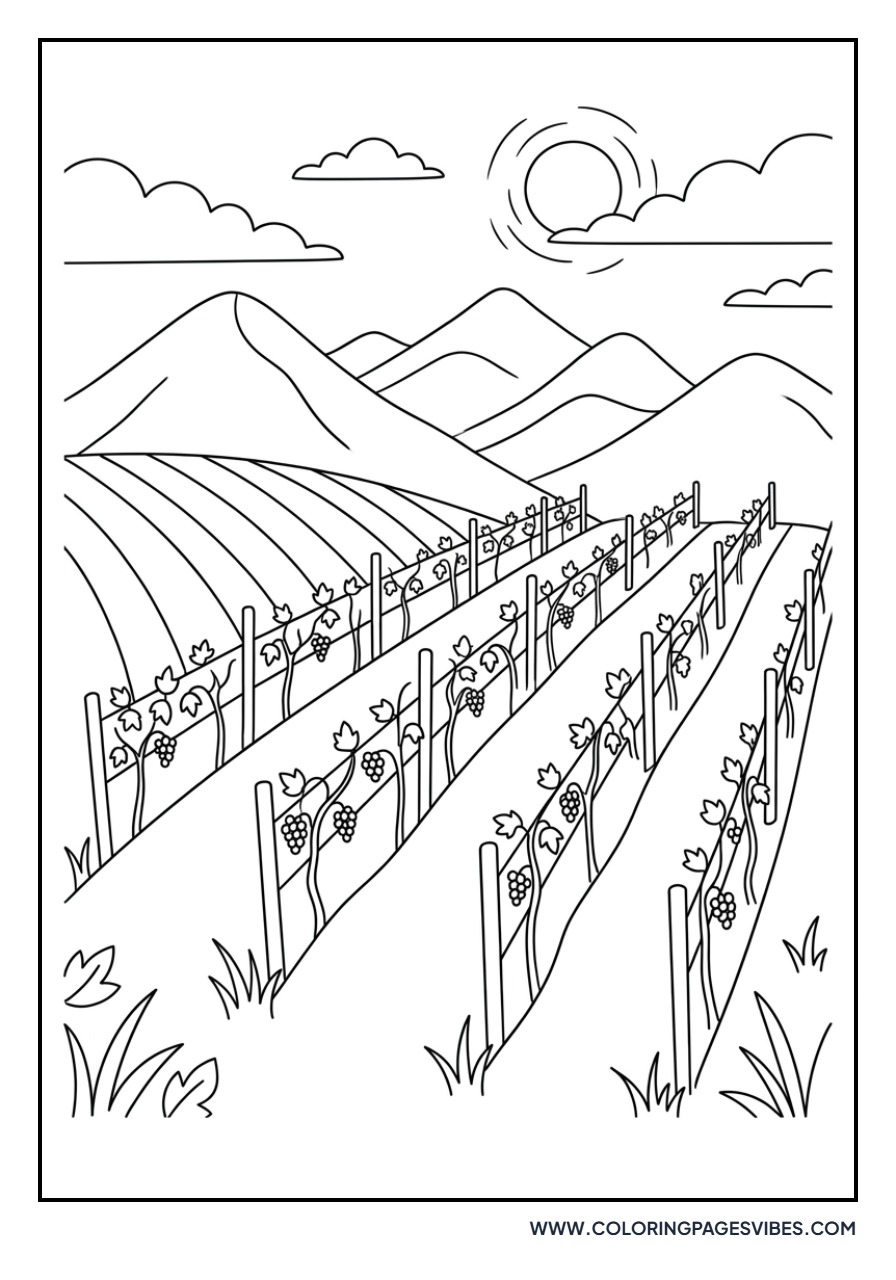Mountain Vineyard