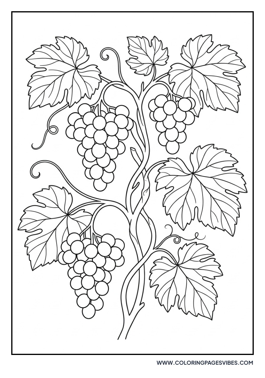 Realistic Grapevine
